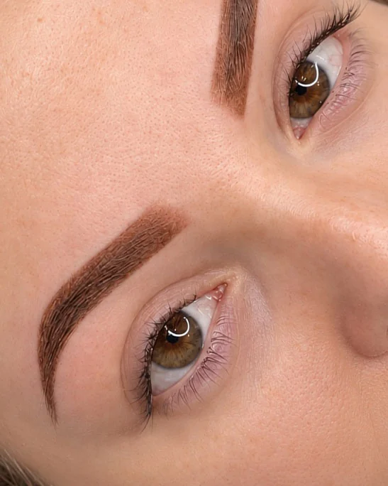 Ombré Brows in Hamburg, Ergebnis von Natalie Demtschenko