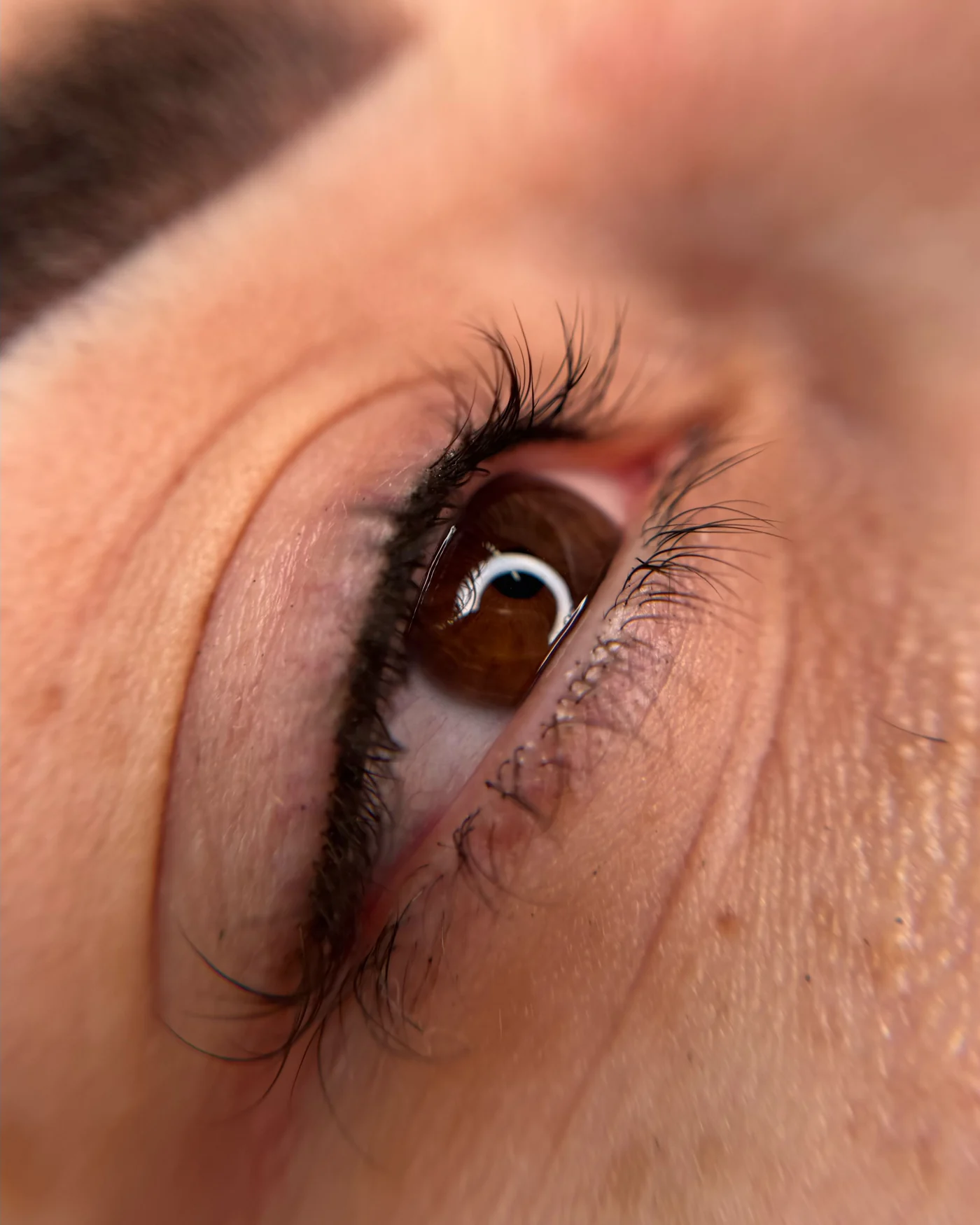 Wimpernkranzverdichtung in Hamburg, Ergebnis von Natalie Demtschenko